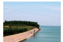 其他業(yè)績(jī):宿遷市駱馬湖堤防